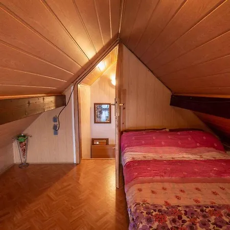 Prázdninový dům In - Dolenjska Bela Krajina Unter- Weisskrain 42895
