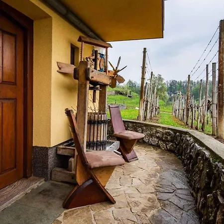 In - Dolenjska Bela Krajina Unter- Weisskrain 42895 Holiday home Novo Mesto