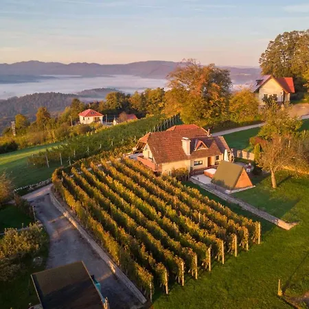 別荘 In - Dolenjska Bela Krajina Unter- Weisskrain 42895 ノヴォ メスト