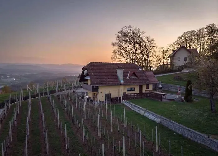 In - Dolenjska Bela Krajina Unter- Weisskrain 42895 *