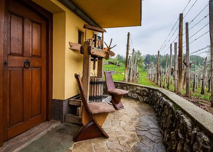 In - Dolenjska Bela Krajina Unter- Weisskrain 42895 Vakantiehuis Novo Mesto