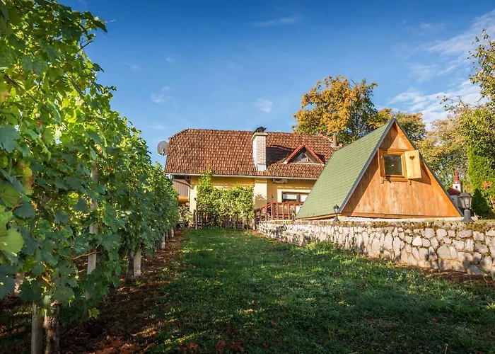 In - Dolenjska Bela Krajina Unter- Weisskrain 42895 Vakantiehuis